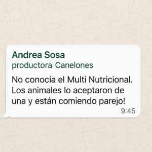 cliente1