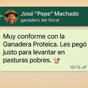 cliente2