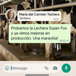cliente4