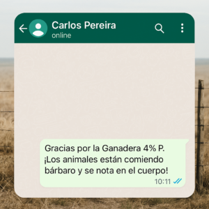 cliente6