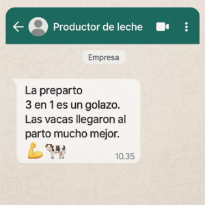 cliente8
