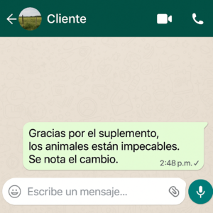 cliente9